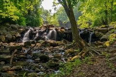 Clove-Lakes