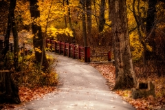 Clove Lakes Trail