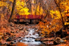 Clove Lakes Wood Bridge