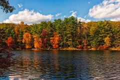 Lake Kanawauke Bear MT.