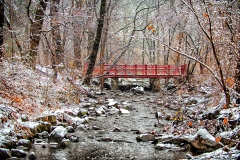 Snow On Clove Lakes Bridge