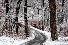 Snow On Clove Lakes Trail